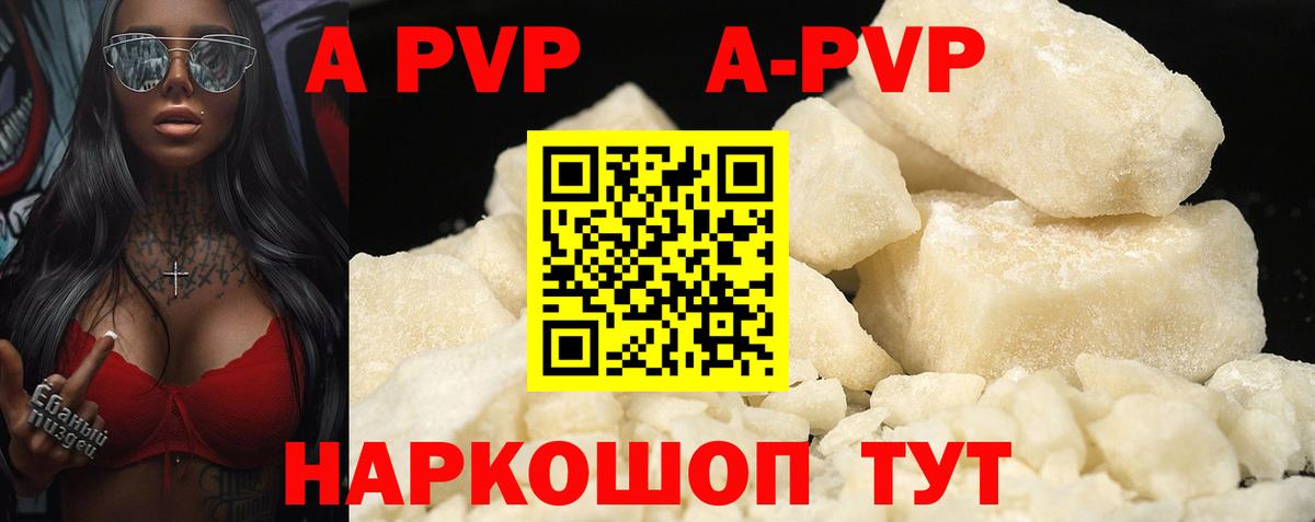 Alfa_PVP СК Новочеркасск