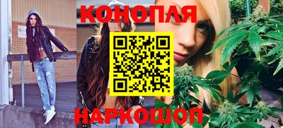 spice Гай