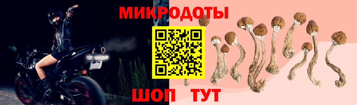 Галлюциногенные грибы MAGIC MUSHROOMS Новочеркасск